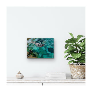 Turquoise Swim